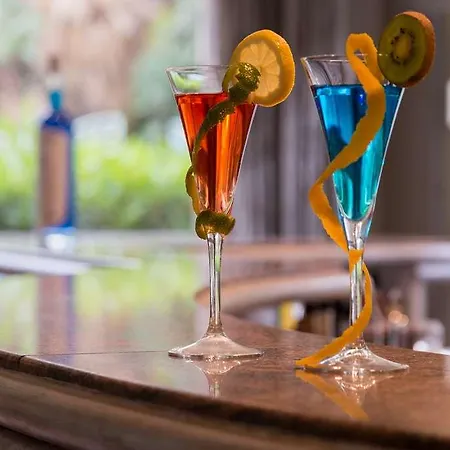 Hotel Og Antibes Les Strelitzias